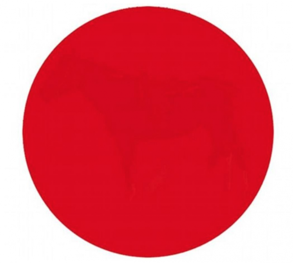 La ilusi&oacute;n &oacute;ptica que ha desconcertado a internet.