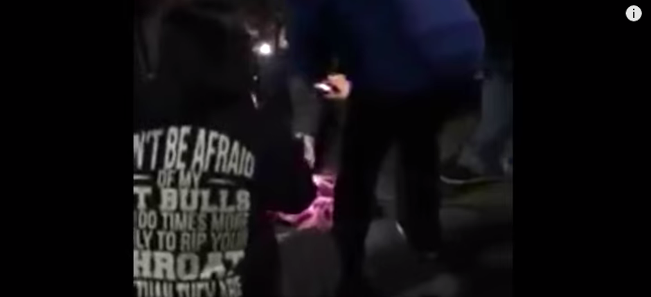 Un peque&ntilde;o gatito fue rescatado al quedar atorado en un tubo de desag&uuml;e. (Foto: Youtube)&nbsp;