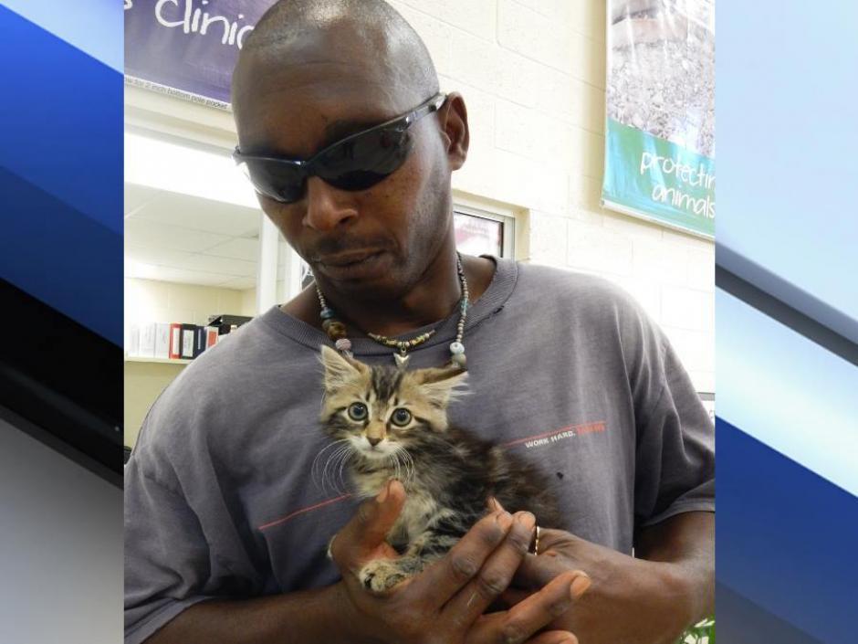 Un hombre en Florida rescat&oacute; a un gatito que se encontraba atrapado en su pickup. (Foto: Janet Winikoff/CNN IReport)&nbsp;