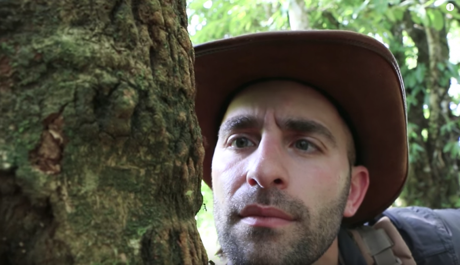 Coyote Peterson observa como caminan las hormigas cortadoras de hojas en la selva de Costa Rica. (Captura de pantalla: Brave Wilderness/YouTube)
