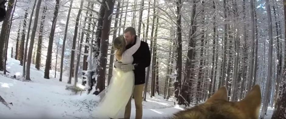 La boda de esta pareja estadounidense fue grabada por su mascota, un husky siberiano. (Foto: abc News)&nbsp;