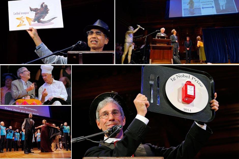 Este a&ntilde;o se celebr&oacute; la edici&oacute;n 24 de la entrega de los Ig Nobel. (Im&aacute;genes: infobae.com)