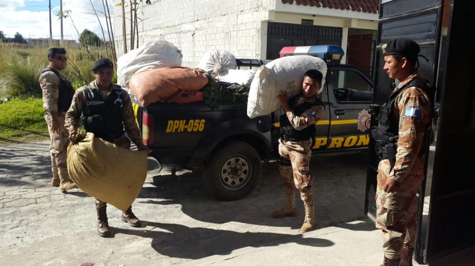 Agentes de Diprona trasladaron el decomiso hacia un área protegida luego del decomiso. (Foto: Conap)