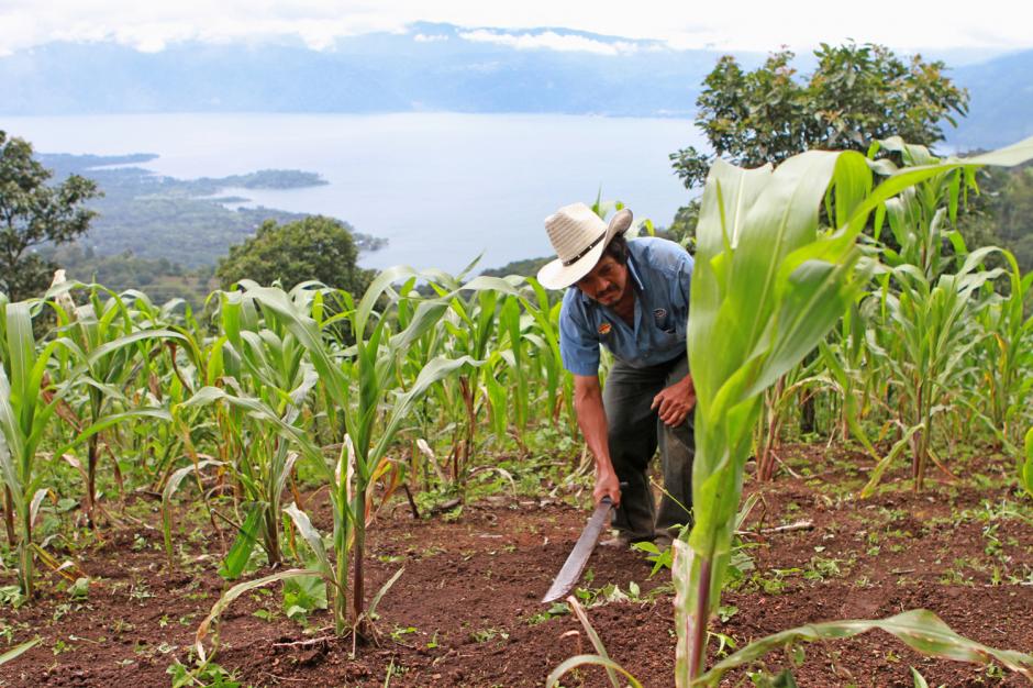 El salario mínimo se fijo con un aumento del 5 por ciento en el campo y la ciudad, según el ministro de Trabajo Carlos Contreras se llego a esta cifra tras un estudio y consultas con varios sectores. (Esteban Biba/Soy502)&nbsp;