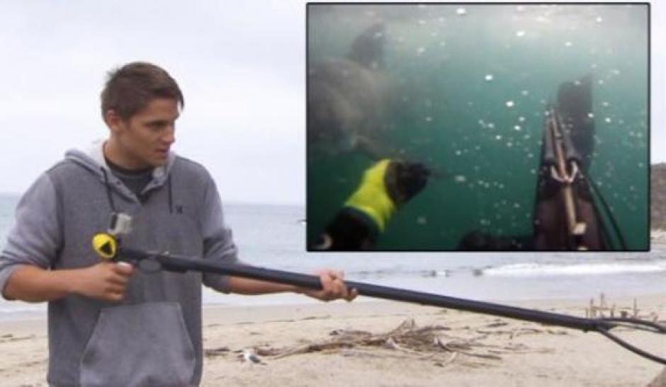 Tyler McQuillen relat&oacute; el susto que se llev&oacute; al ser atacado por un tibur&oacute;n. (Foto: Twitter)