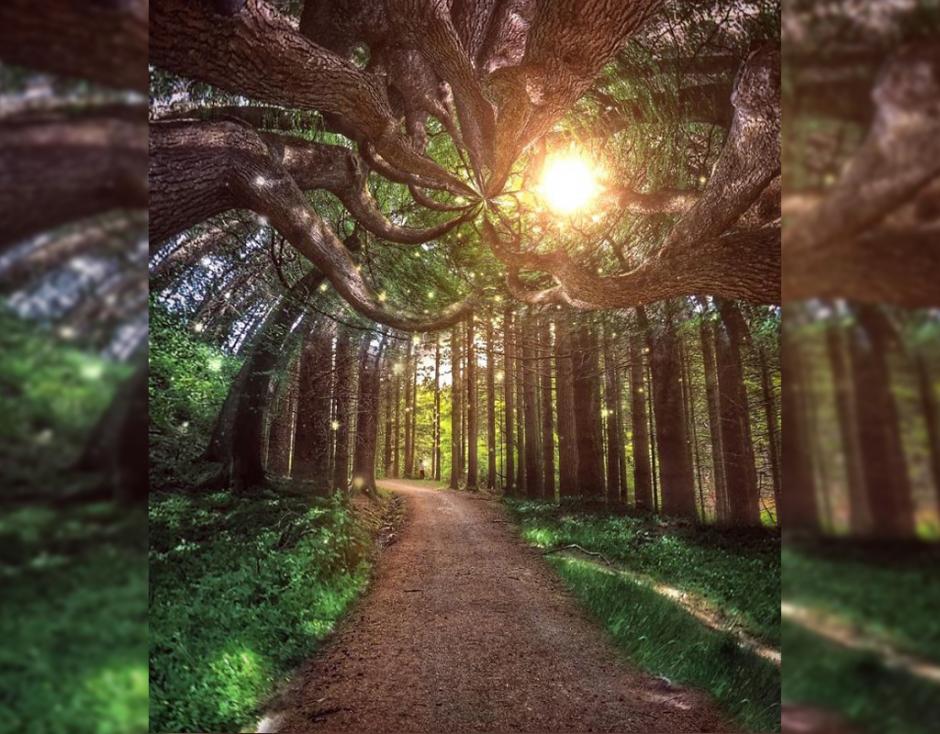 La artista descubri&oacute; la pasi&oacute;n de crear arte en su iPhone cuando encontr&oacute; Instagram en el 2011. (Foto: Melissa Vincent/@misvincent)