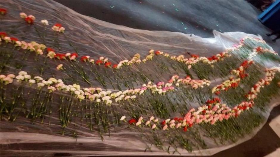 El estudiante quiso agasajar a todas las mujeres de su escuela por el D&iacute;a de San Valent&iacute;n. (Foto: Facebook/Hayden Godfrey)