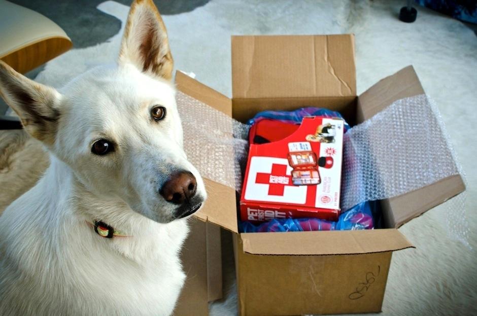 Es importante preparar un kit de emergencia especial para tus peludos. (Foto: bhsah.com)&nbsp;