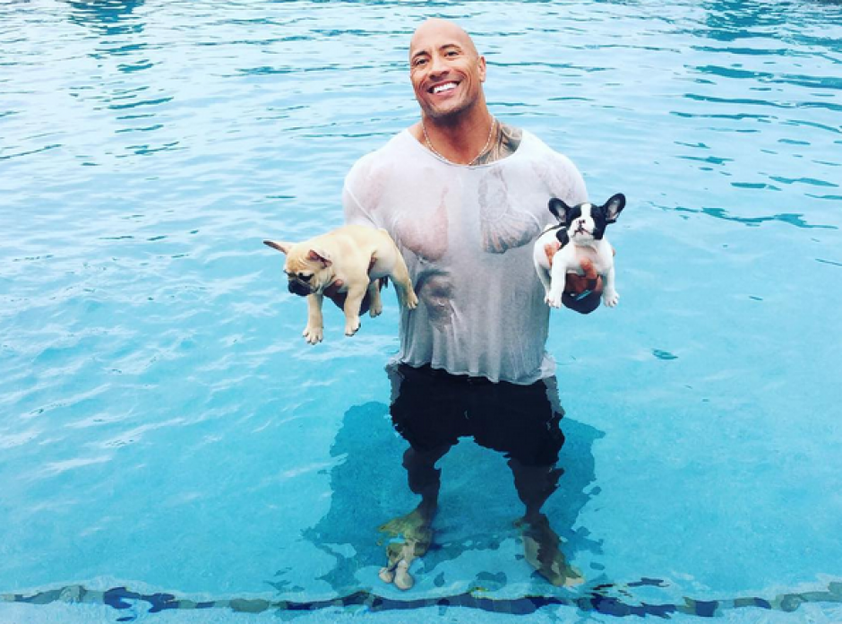 Dwayne Johnson "La Roca", dio a conocer como evit&oacute; que muriera ahogado su perro "Brutus" (Foto: Instagram)