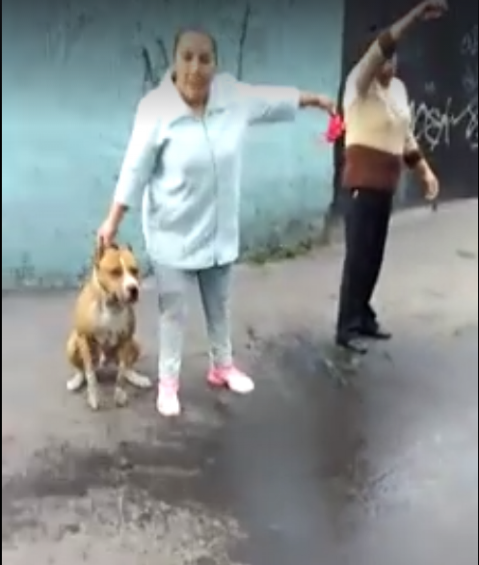 La due&ntilde;a del pitbull sostiene al animal luego del mortal ataque. (Imagen: Captura de pantalla)