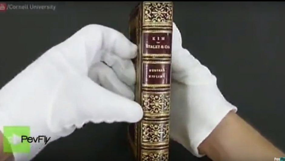 El descubrimiento tuvo lugar en un libro publicado en 1899. (Imagen: captura de pantalla)