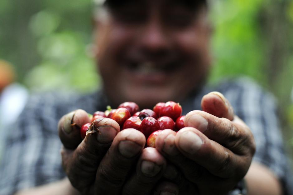 Don Juan muestra a manos llenas el fruto de su trabajo en San Lucas Tolim&aacute;n, Solol&aacute;. (Esteban Biba/Soy502)
