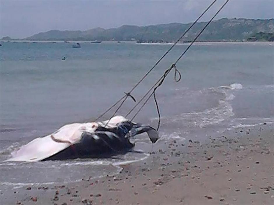 Juan Pizarro, alcalde de la provincia de La Cruz de Tumbes, cont&oacute; los pormenores de la pesca de la mantarraya.