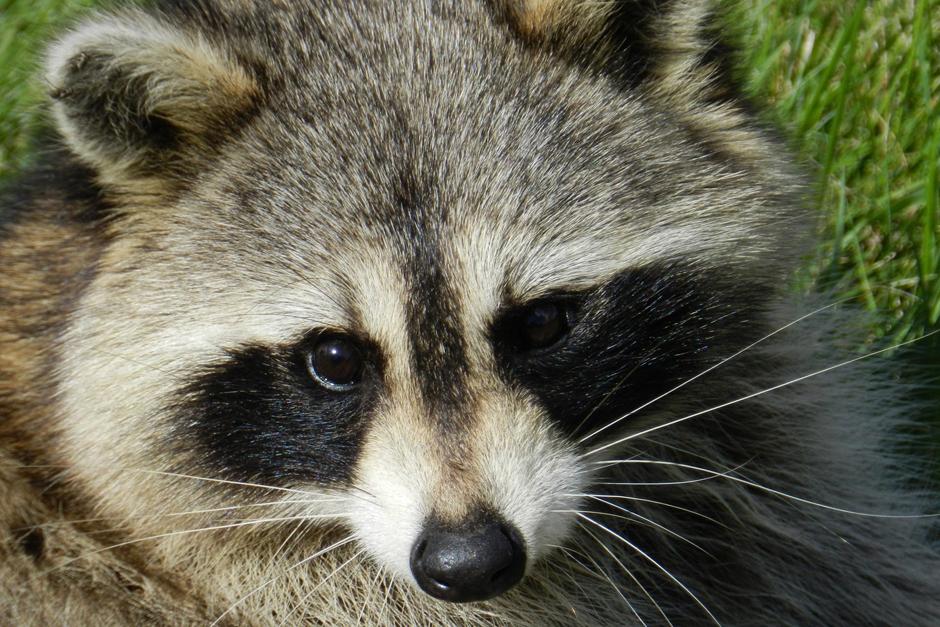 Los Bomberos Municipales cubrieron una ins&oacute;lita emergencia durante la madrugada de este lunes en un sector de la calle Mart&iacute;. (Foto con fines ilustrativos)