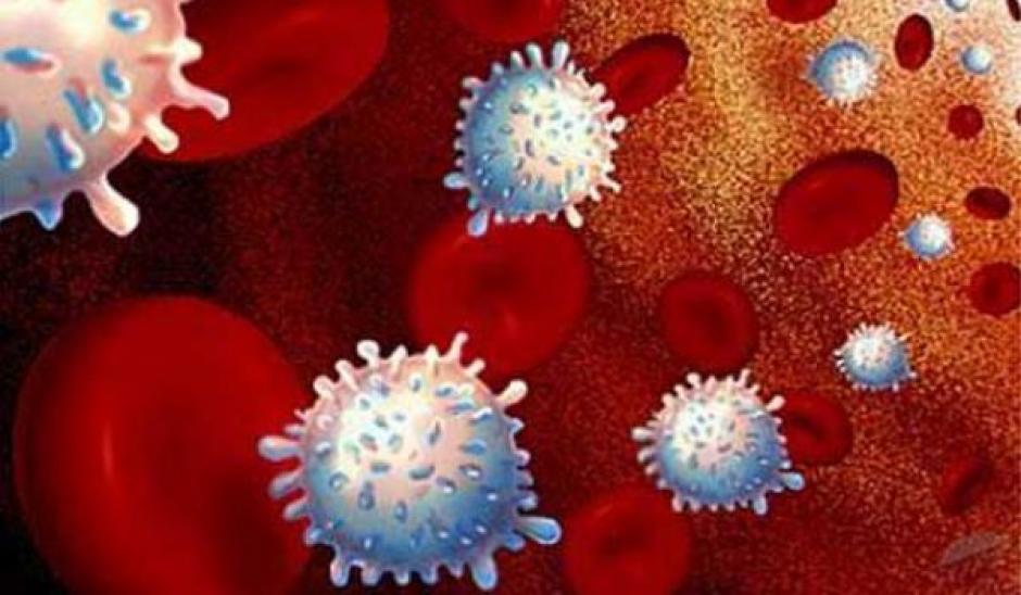 Seg&uacute;n un descubrimiento de investigadores brasile&ntilde;os, las c&eacute;lulas madre podr&iacute;an acelerar la cicatrizaci&oacute;n.&nbsp;