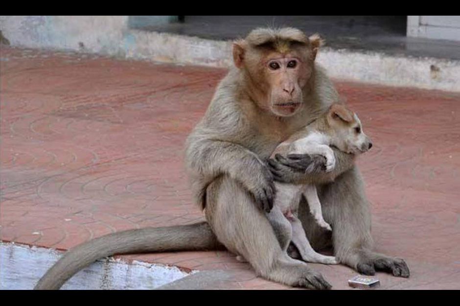 Estas fueron las noticias que atrajeron la atenci&oacute;n del mundo por ser tan curiosas, tristes, divertidas y tiernas.&nbsp;