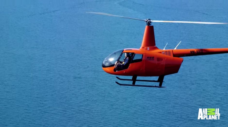 Rescatan a un n&aacute;ufrago durante la grabaci&oacute;n de un programa. (Foto: Youtube) 