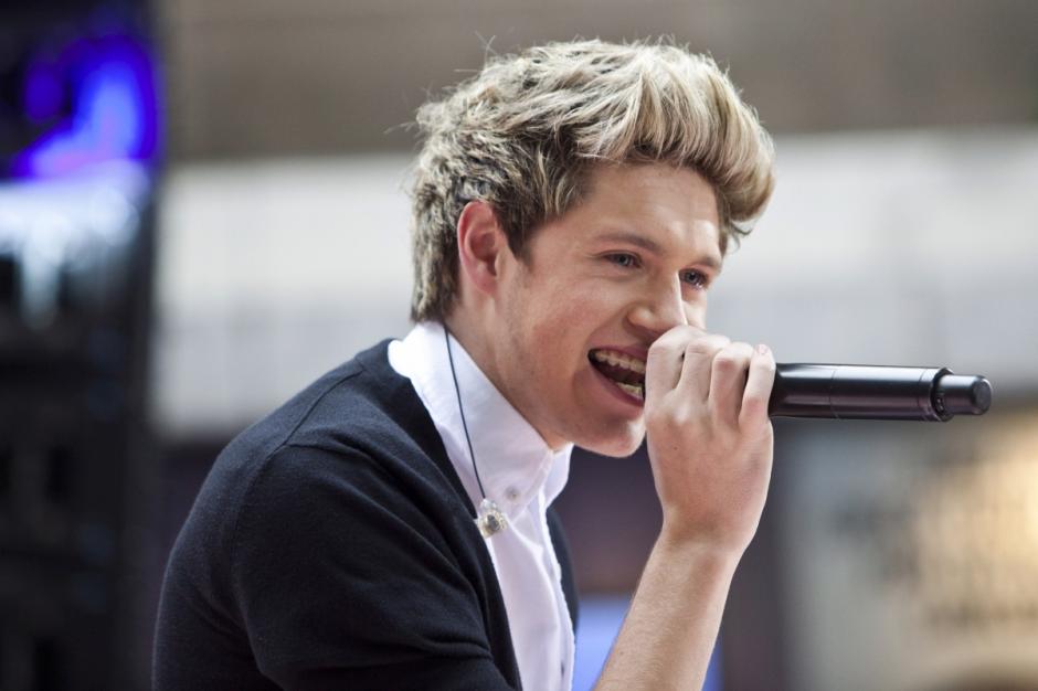 Niall Horan es uno de los consentidos de One Direction. (Foto: ibtimes.co.uk)