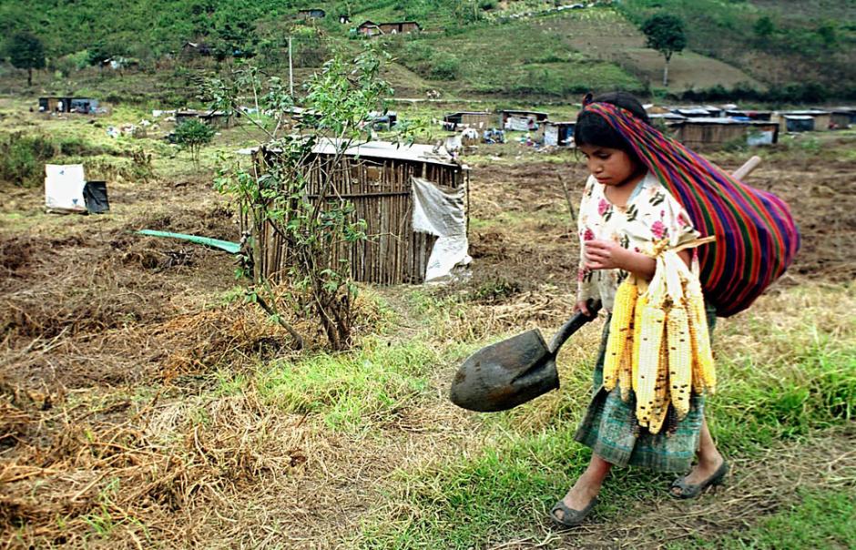 La ley ha sido cuestionada por sectores ambientalistas y campesinos por creer que beneficiará a las grandes empresas y afectará a los pequeños agricultores. (Foto: Jesús Alfonso/Soy502)&nbsp;