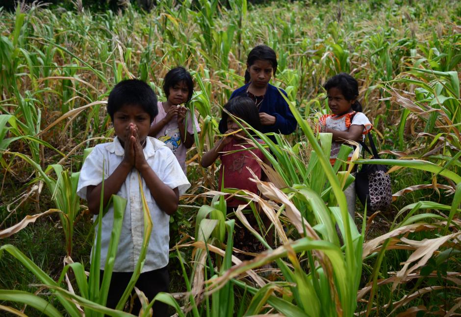 Ni&ntilde;as y ni&ntilde;os de la aldea El Pinal, del municipio de Comapa, no saben por qu&eacute; este a&ntilde;o la lluvia no lleg&oacute; a los cultivos de ma&iacute;z, los cuales no crecieron. (Foto: Wilder L&oacute;pez/Soy502)