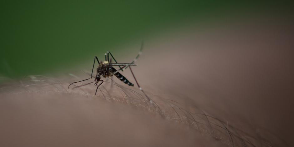 El sub-registro de la enfermedad sigue en aumento, ya que las personas que saben que en los hospitales casi nada hay que hacer con la enfermedad, no se diagnostican. (Foto: archivo)
