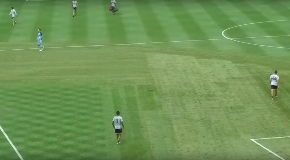 La paloma no se inmut&oacute; durante el movimiento del bal&oacute;n. (Imagen: Captura de pantalla)