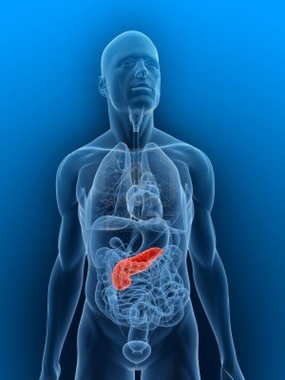 Este ADN, llamado ADN no codificante, contiene secuencias que permiten que unos y no otros genes se activen en determinados &oacute;rganos.