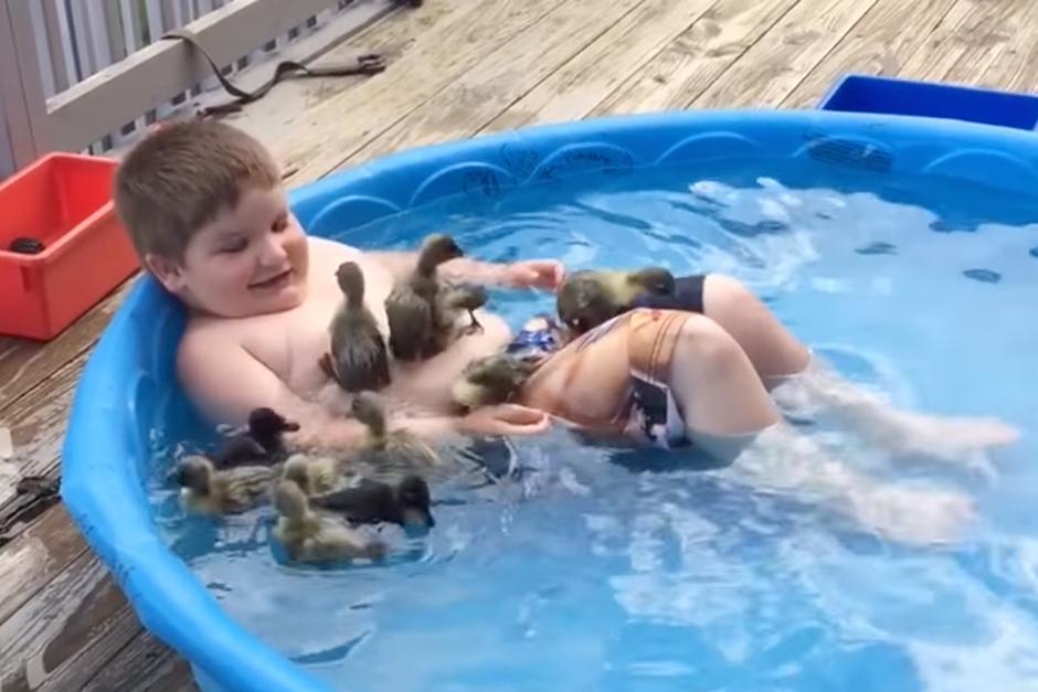 Un ni&ntilde;o se divierte con una docena de patos. (Foto: YouTube)