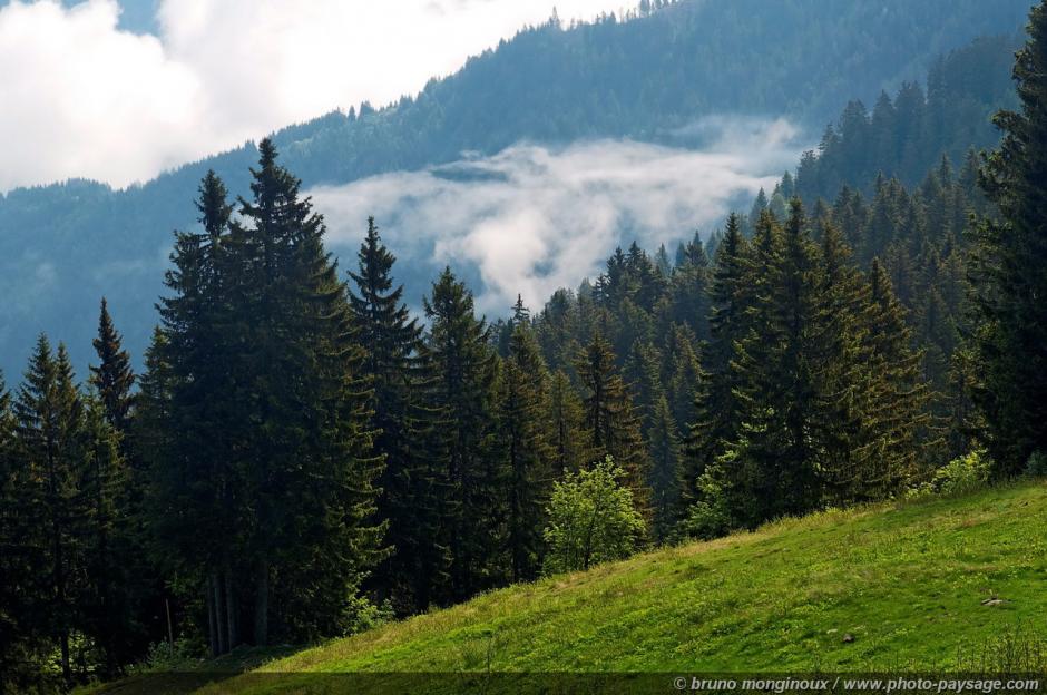 El foro, que concluir&aacute; ma&ntilde;ana en un hotel de San Salvador, es organizado por Prisma, el Ministerio de Medio Ambiente y Recursos Naturales, el SICA, el Programa sobre los Bosques, del Banco Mundial, la Alianza Clima y Desarrollo y la Iniciativa Global del Agua-Agua Verde. Foto paysage. com