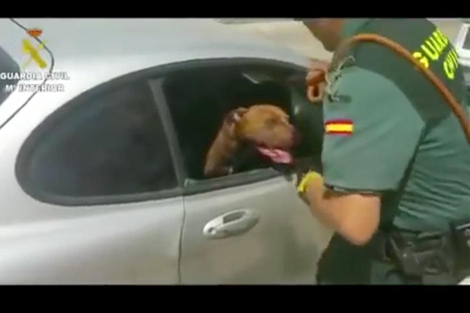 Un polic&iacute;a rompe vidrio del carro para salvar a una perra. (Foto: YouTube)