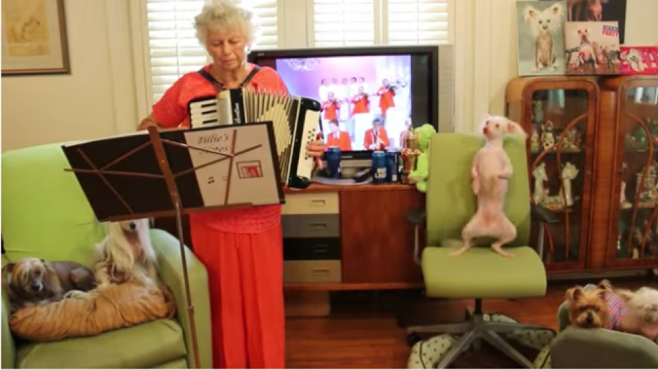 La anciana toca polka con su acorde&oacute;n. (Foto: Tomado de YouTube)