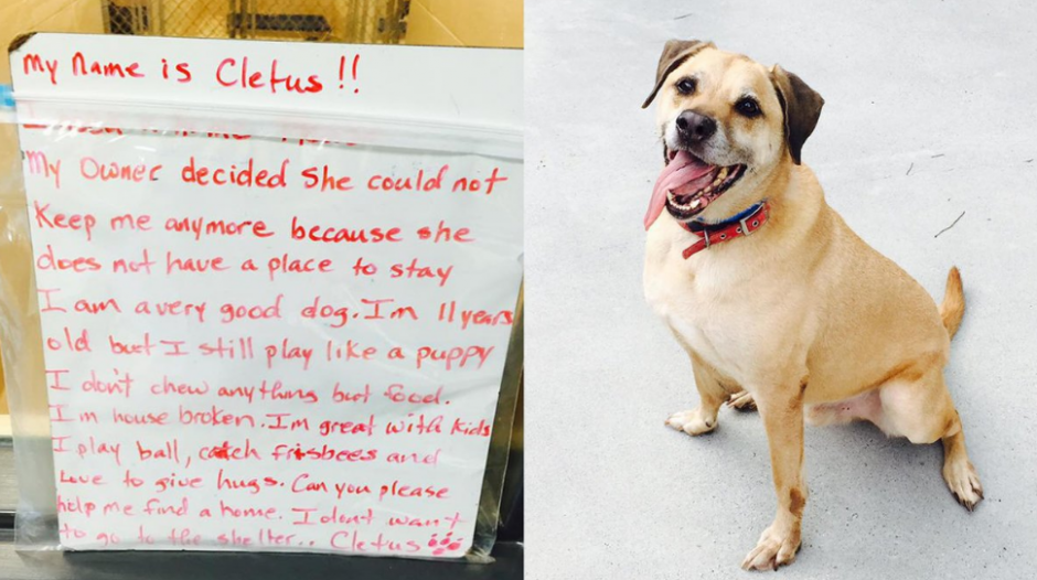 Cletus fue abandonado con una conmovedora nota en Georgia, Estados Unidos. (Foto: Univision)