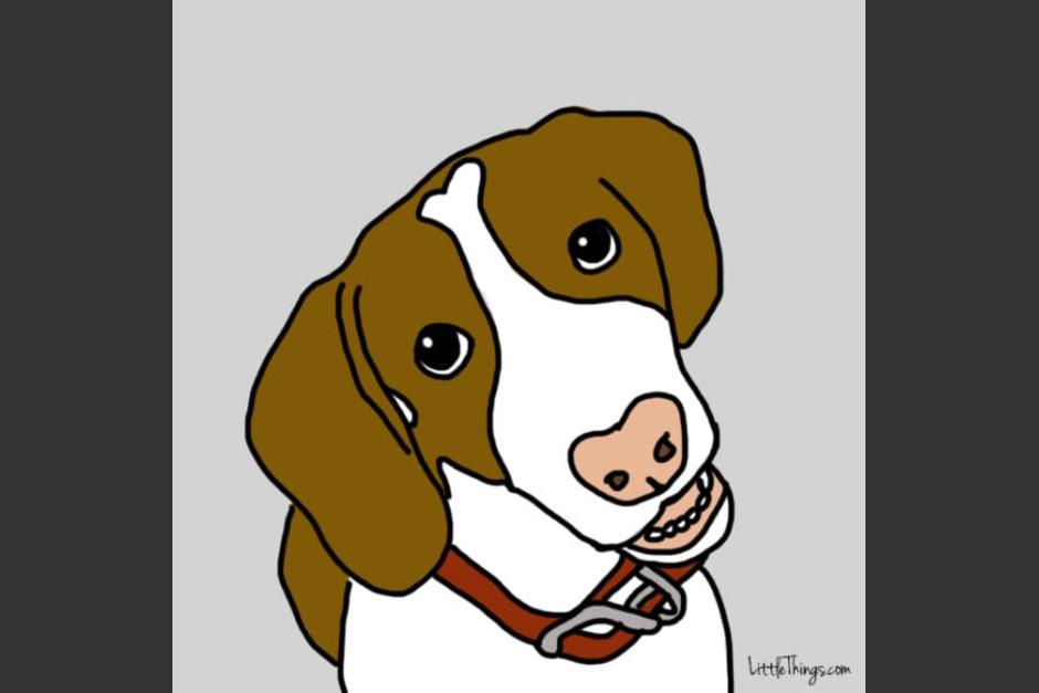 Si tu perro te mira a los ojos es porque quiere conectarse contigo. (Foto: littlethings.com)