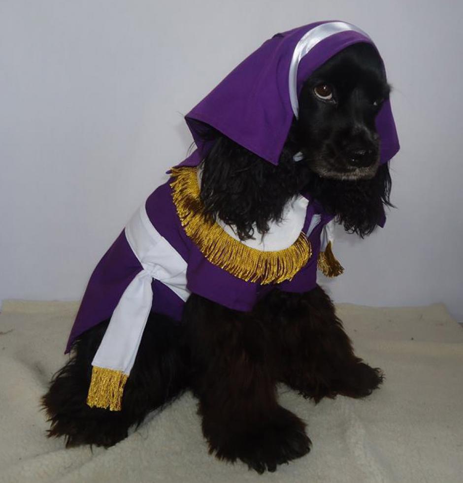 El traje de cucurucho para perro ha sido uno de los modelos m&aacute;s criticados. (Foto: Flor Garc&iacute;a)