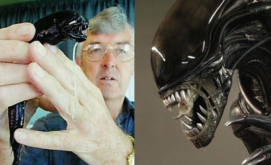 La asombrosa naturaleza muestra sus curiosidades. &nbsp;Este horroroso ejemplar emerge de las profundidades marinas para asustar con su aspecto parecido a la criatura de la película "Alien".&nbsp;&nbsp;