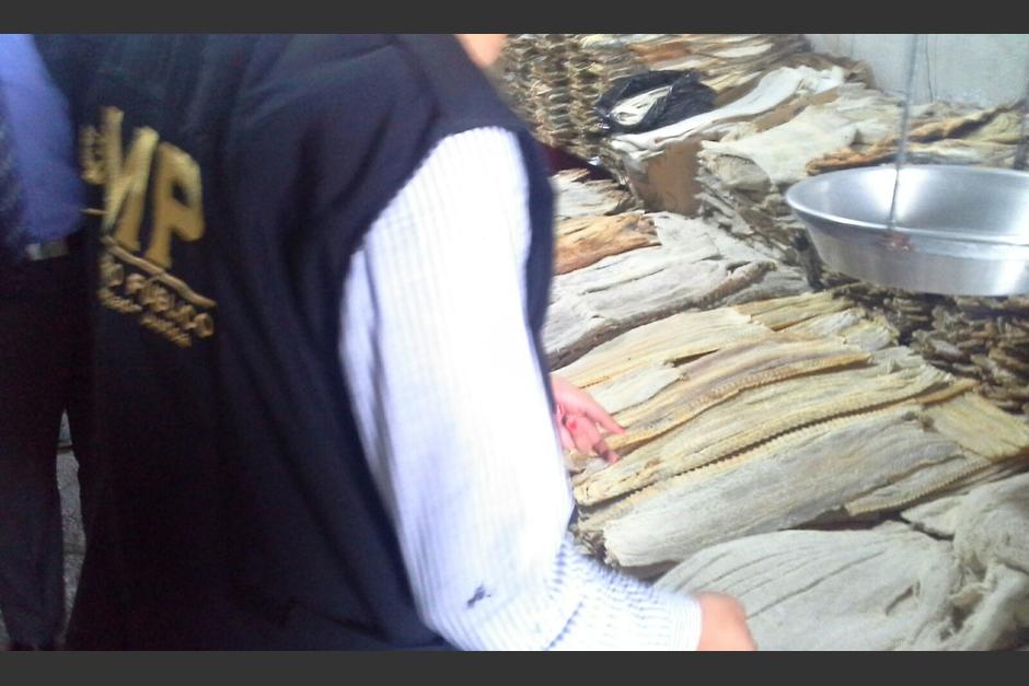 La fiscal&iacute;a de Delitos contra el Ambiente realiz&oacute; el decomiso de carne de Pez Vela en un minimercado de la zona 1. (Foto: MP) 