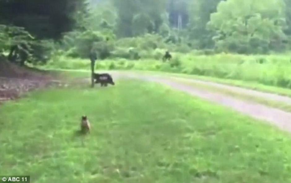 La fotograf&iacute;a ha causado revuelo ya que fueron localizadas en un &aacute;rea poco accesible para los monta&ntilde;istas. (Foto:Steve Berry)