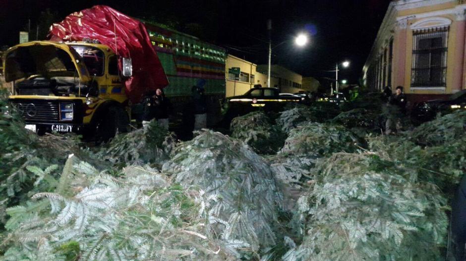 Uno de los decomisos fue en Quetzaltenango. (Foto: Conap) 