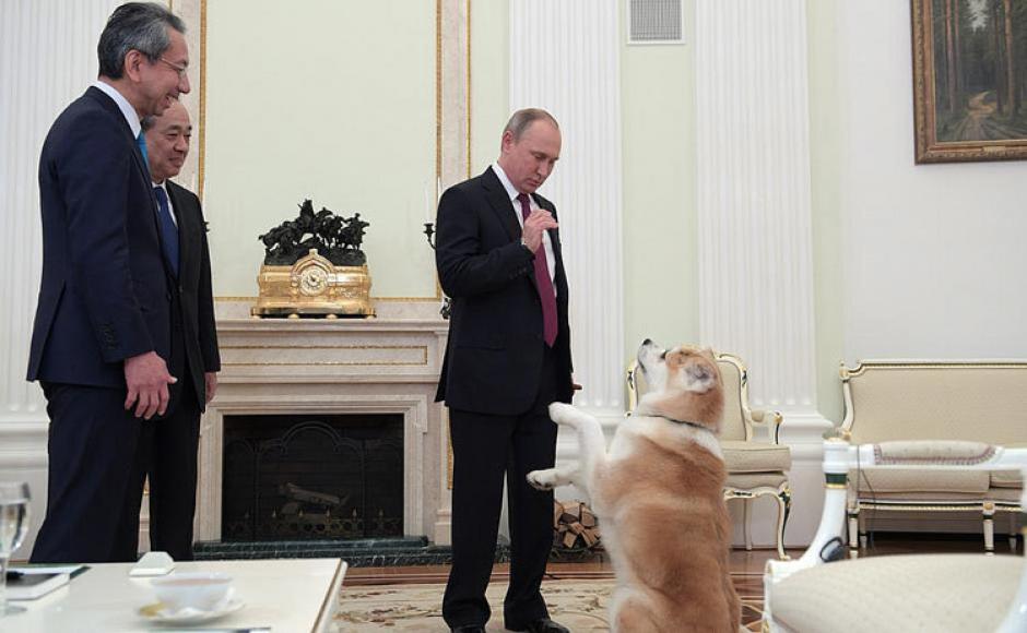 Yum&eacute; es el perro del presidente ruso Vladimir Putin. (Foto:&nbsp;kremlin.ru)