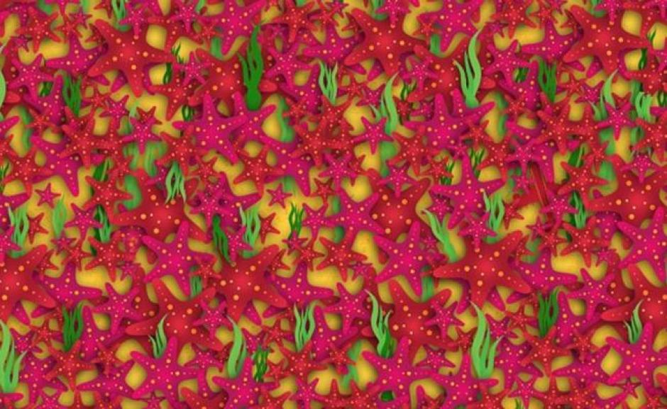 Un nuevo reto visual invade las redes sociales. (Imagen: El Universal)