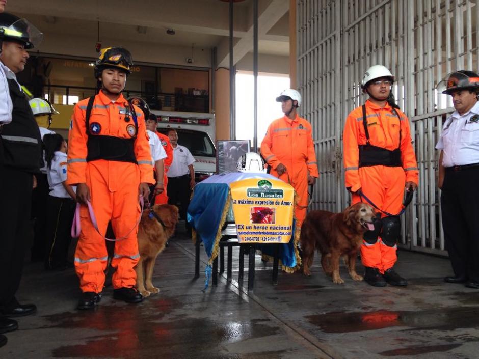 El Cuerpo de Bomberos Voluntarios rindió honores a "Rex", el primer perro de la&nbsp;Patrulla Canina. (Foto: Fredy Hernández/Soy502) &nbsp;