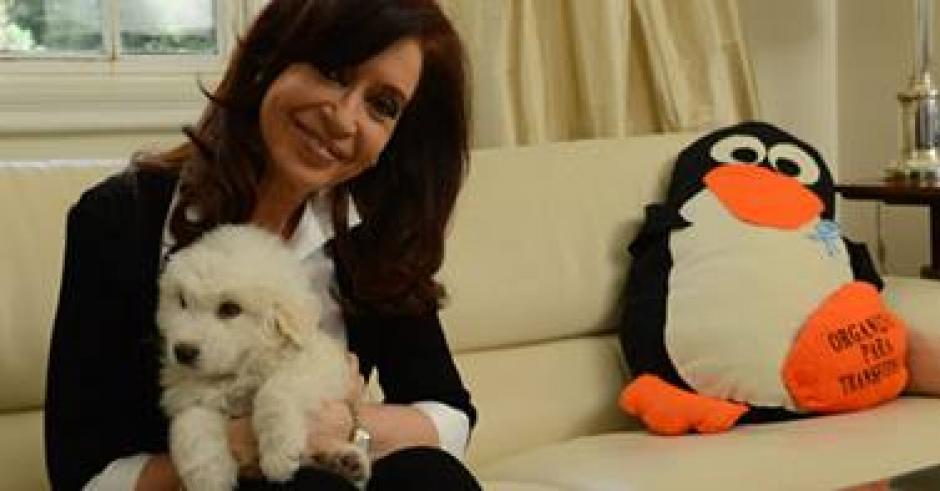 La presidenta argentina, Cristina Fern&aacute;ndez, reapareci&oacute; hoy, tras completar su recuperaci&oacute;n de una neurocirug&iacute;a a la que fue sometida el pasado 8 de octubre, en un v&iacute;deo que public&oacute; en Twitter, en el que se le ve de buen &aacute;nimo y feliz con su nuevo perro. Foto: CF/Facebook