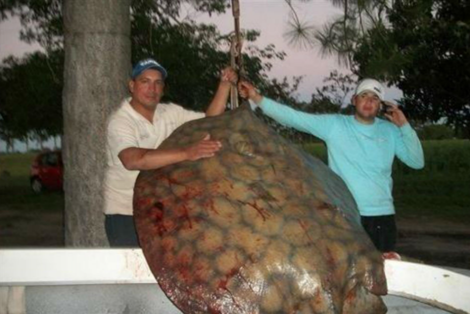 Los pescadores argentinos posan junto a la raya gigante. (ReconquistaHoy.com)