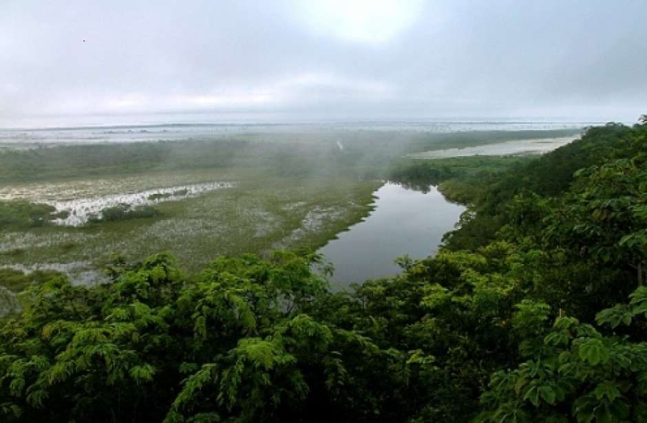 Expertos de nueve pa&iacute;ses se reunir&aacute;n en Guatemala en marzo pr&oacute;ximo. (Foto: AGN)