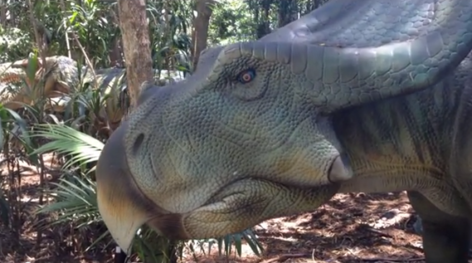 El parque australiano de dinosaurios &lsquo;Palmersaurus&rsquo;, causa la curiosidad de miles alrededor del mundo.