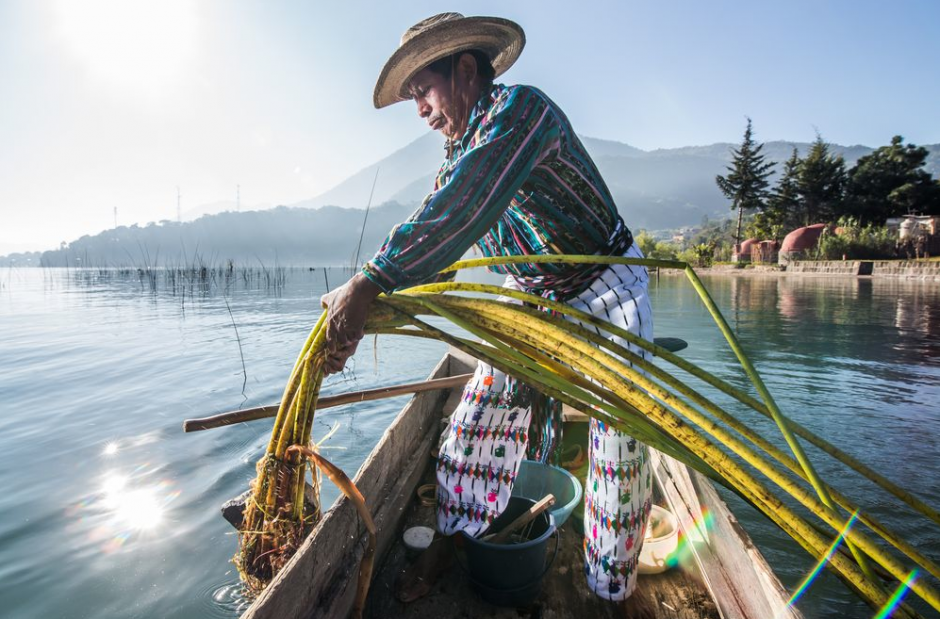Esta fotograf&iacute;a fue seleccionada como una de las mejores del d&iacute;a de ayer por los editores de NatGeo. (Foto: Carlos Rodr&iacute;guez)