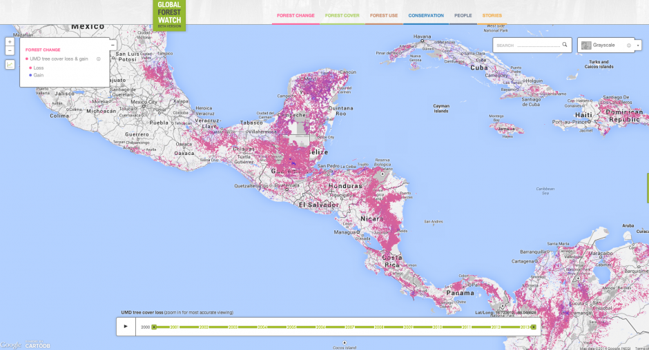 El "Observatorio Global Forestal" permitir&aacute; rastrear el proceso de deforestaci&oacute;n en todo el mundo.&nbsp;(Foto:&nbsp;globalforestwatch)
