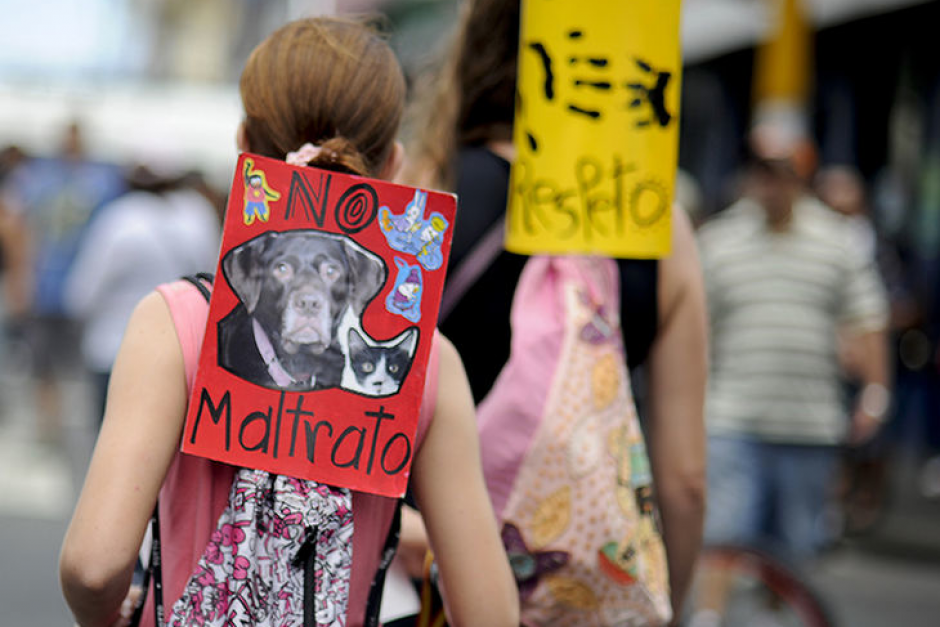 &nbsp;Los manifestantes piden al Congreso una ley que penalice con c&aacute;rcel el maltrato animal. (Foto: Luis Navarro/ Nacion.com)