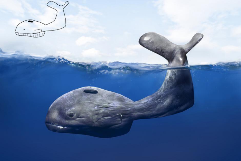 Ballena. (Ilustraci&oacute;n: Telmo Miel)