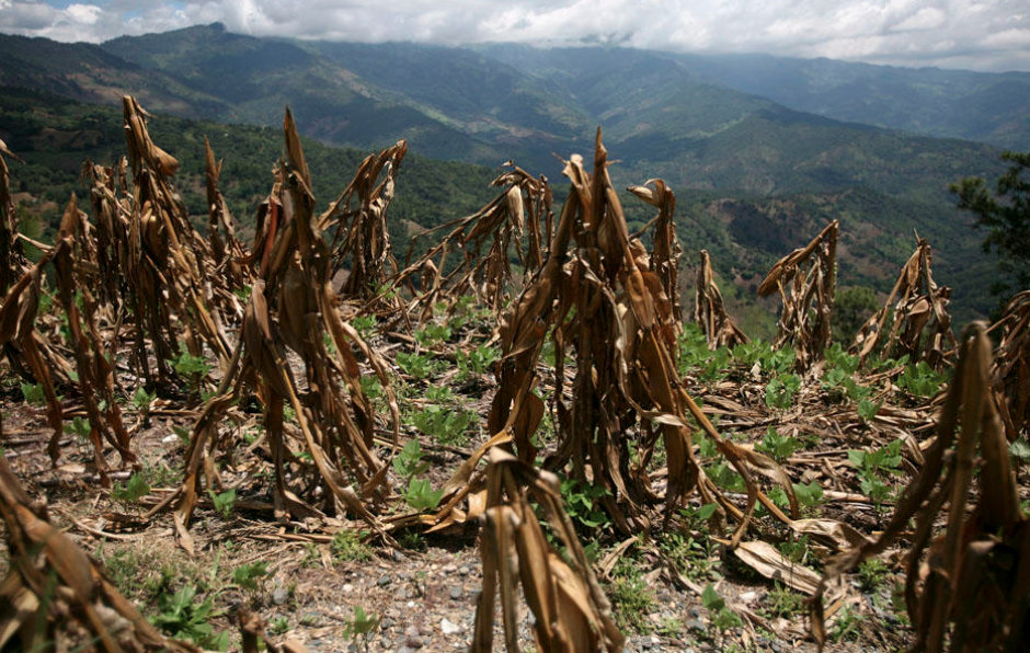 El director del INSIVUMEH informó que el fenómeno de El Niño sería igual al registrado en 2014.&nbsp;